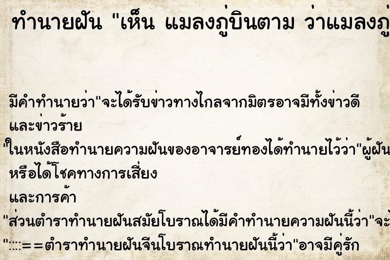 ทำนายฝันเห็นแมลงภู่บินตามว่าแมลงภู่บินตาม ทำนายฝันทำนายฝันเห็นแมลงภู่บินตามว่าแมลงภู่บินตาม